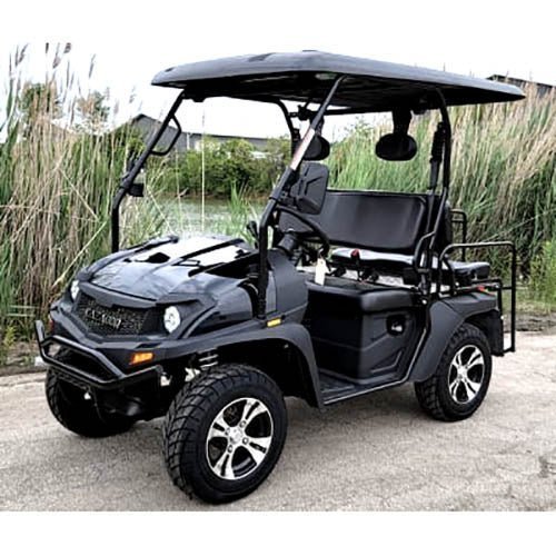 Bighorn-200-Black_a_f02de67a-90c1-423a-a0b7-52f4b6cd3f90.jpg New Gas Golf Cart UTV Hybrid Big Hammer 200 GVX Side by Side UTV With Custom Rims/Tires – Black - Image 1